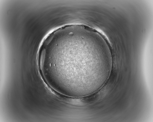 X0000085741472200703161017