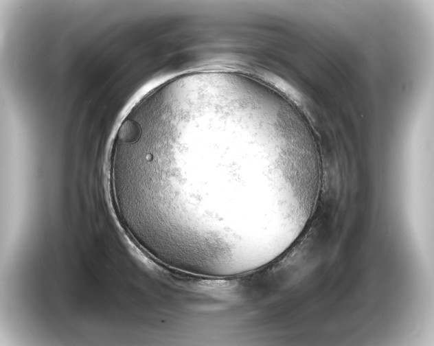 X0000085741478200703161017