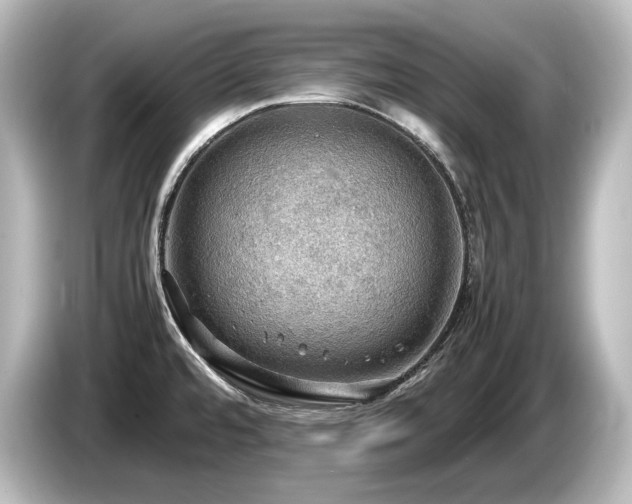 X0000085741480200703161017
