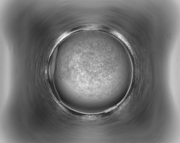 X0000085741481200703161017