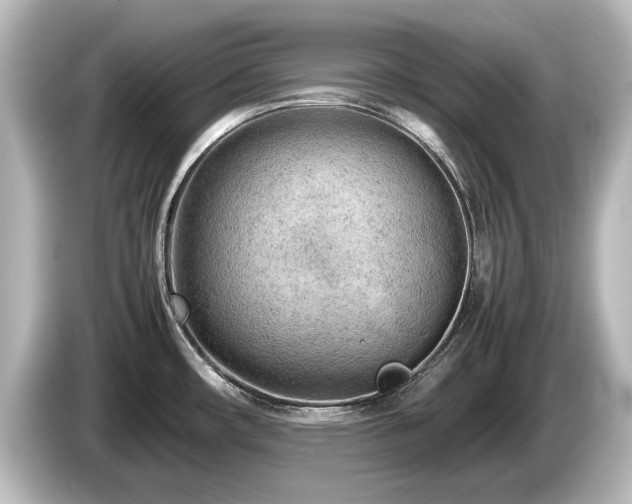 X0000085741482200703161017