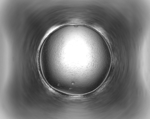 X0000085741486200703161016