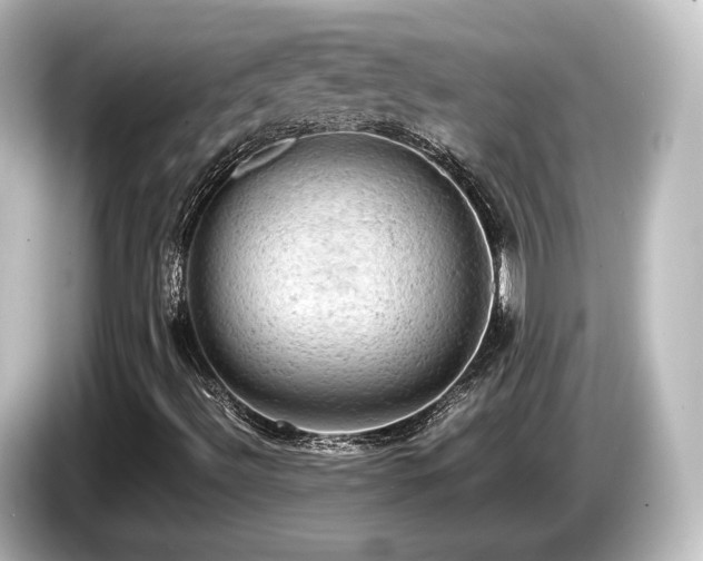 X0000085741492200703161016
