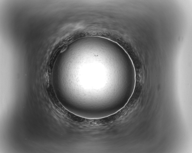 X0000085741493200703161016