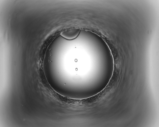 X0000085741495200703161016