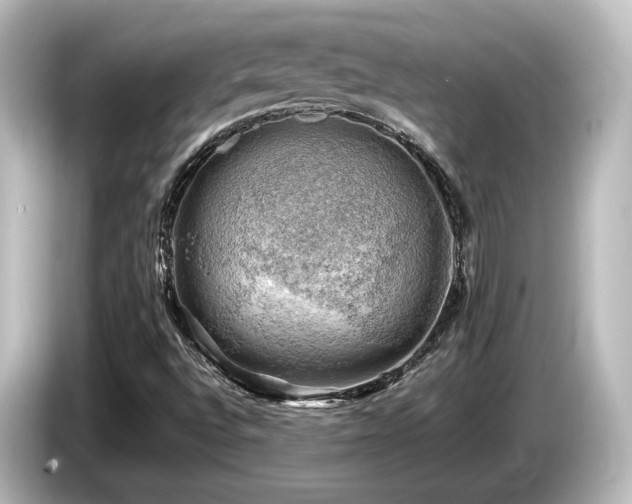 X0000085741496200703161016