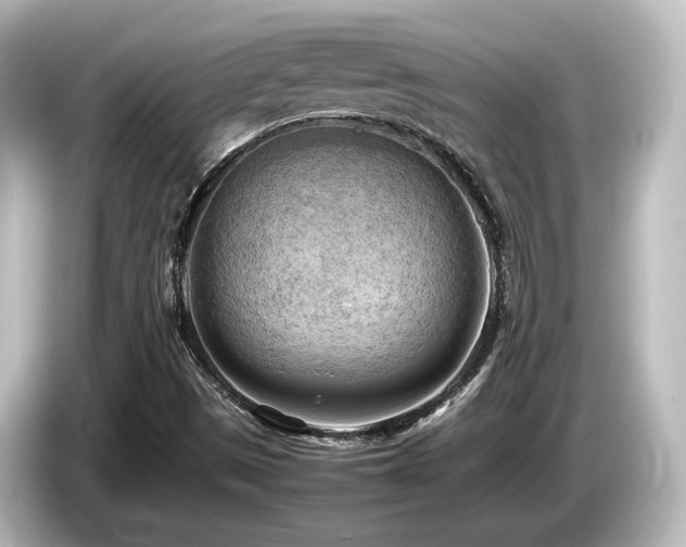 X0000085741497200703161016