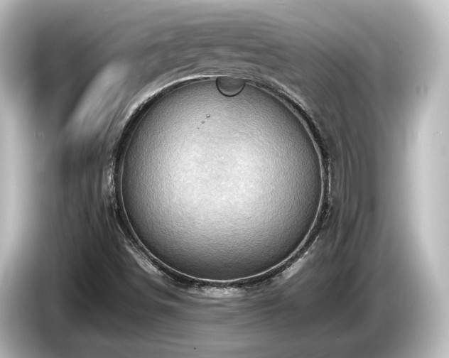 X0000085741498200703161016