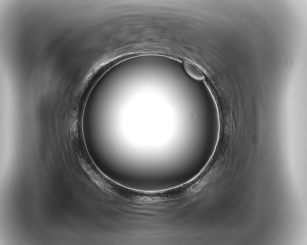 X0000085741499200703161016