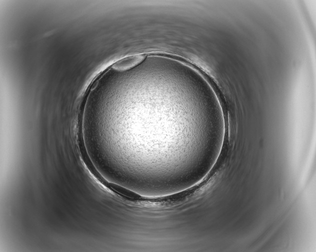 X0000085741500200703161016