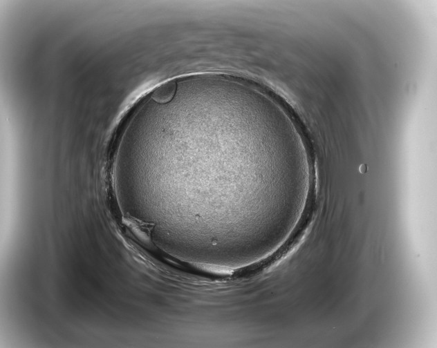 X0000085741501200703161016