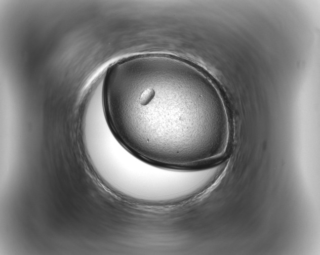 X0000085741502200703161016