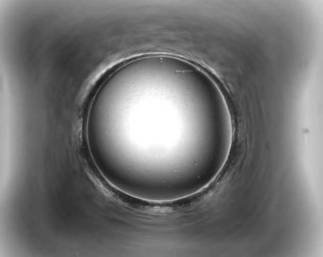 X0000085741503200703161016