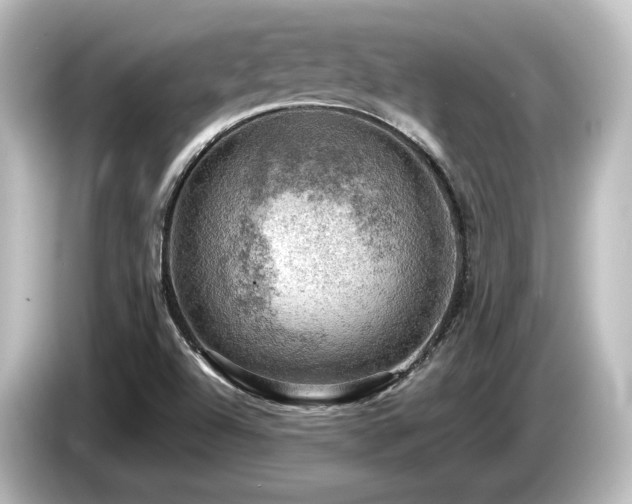 X0000085741504200703161016