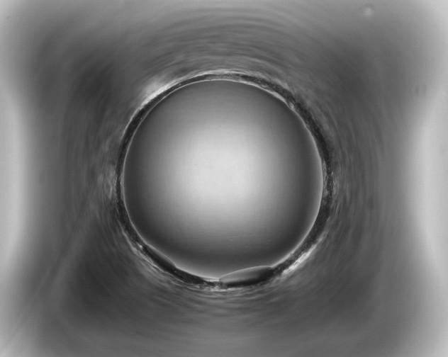 X0000085741505200703161016