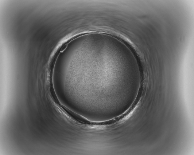 X0000085741506200703161016