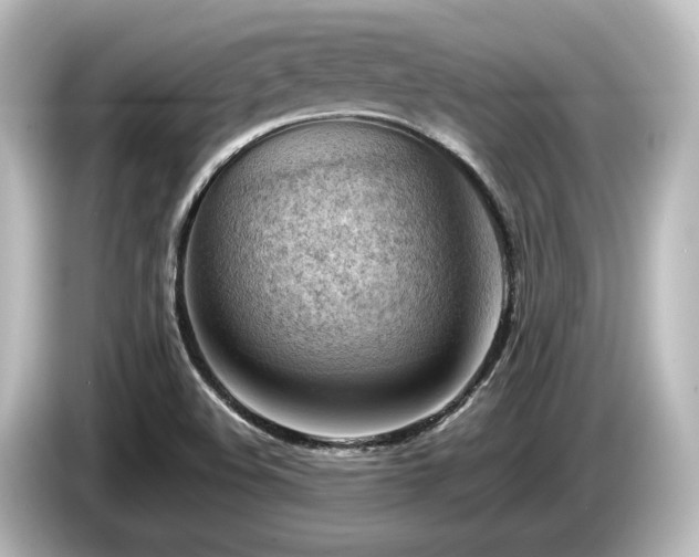 X0000085741508200703161016