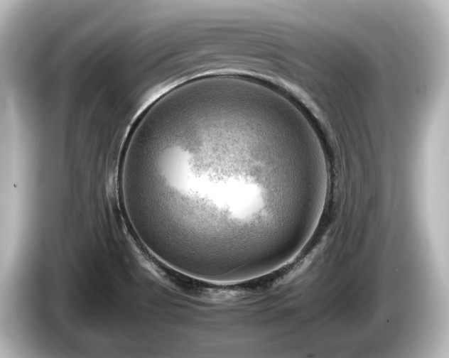 X0000085741513200703161016