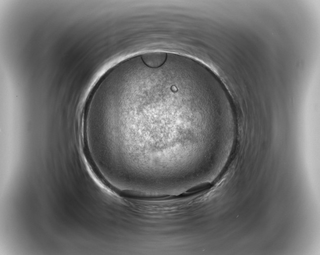 X0000085741515200703161016