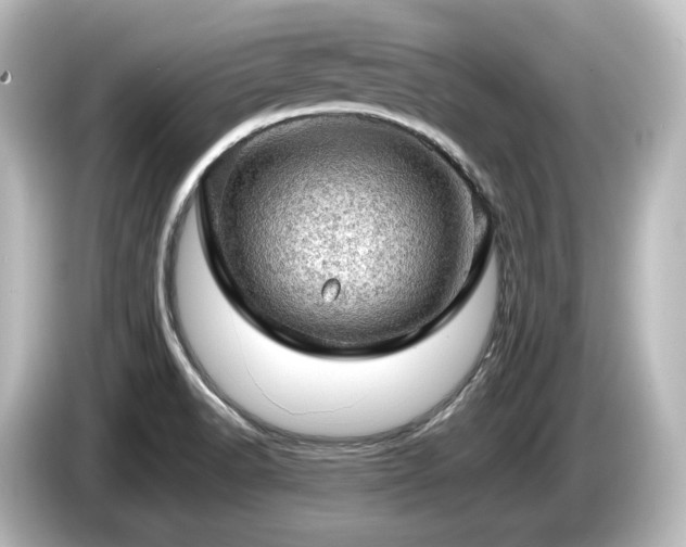 X0000085741518200703161016