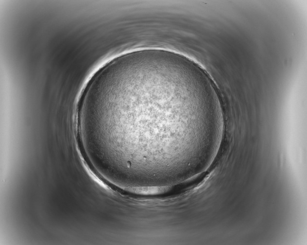 X0000085741519200703161016