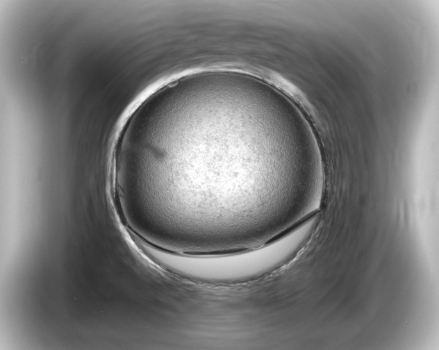 X0000085741520200703161016