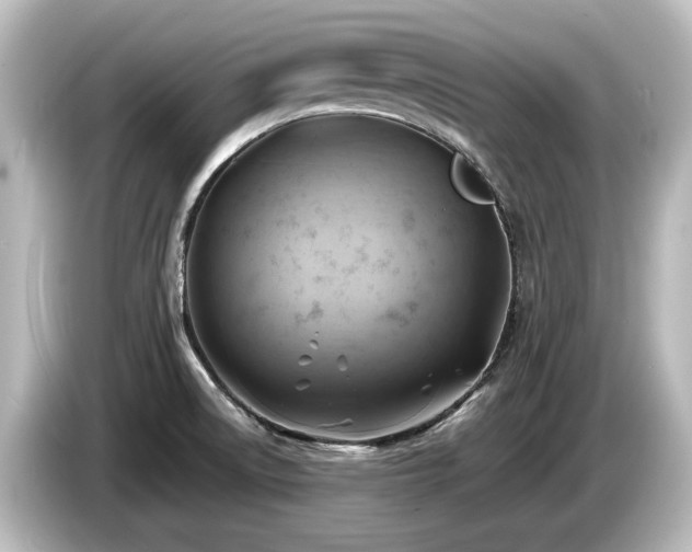 X0000085741522200703161016