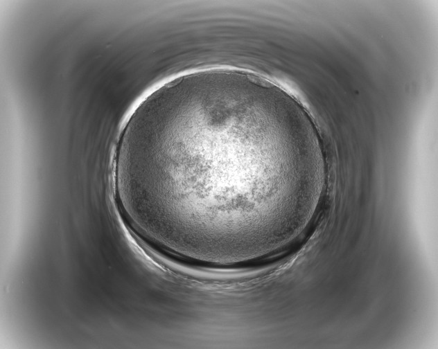 X0000085741524200703161016