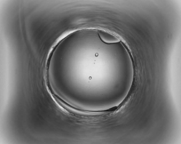 X0000085741525200703161016
