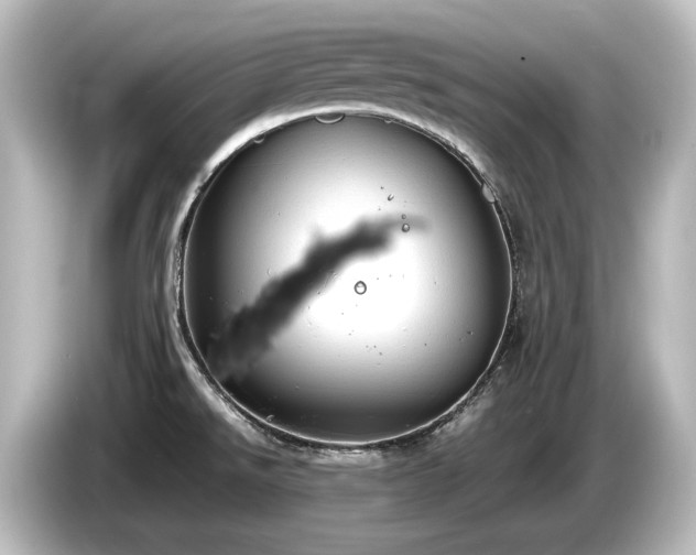 X0000085741526200703161016