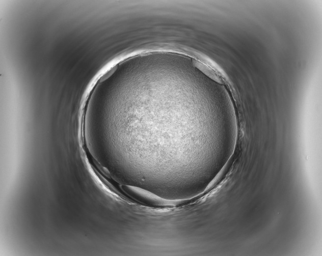 X0000085741528200703161016