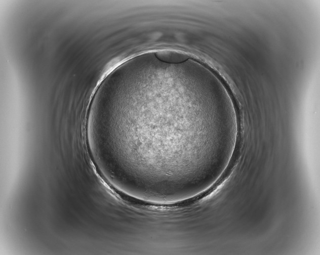 X0000085741529200703161016