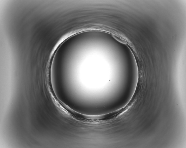 X0000085741530200703161016