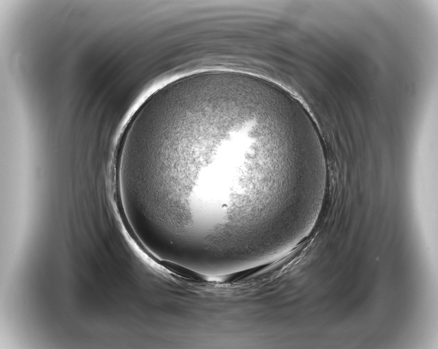 X0000085741531200703161016