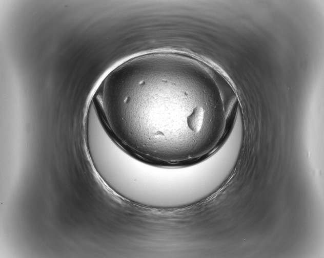X0000085741532200703161016