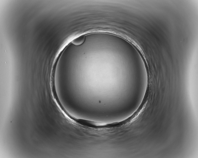 X0000085741533200703161016