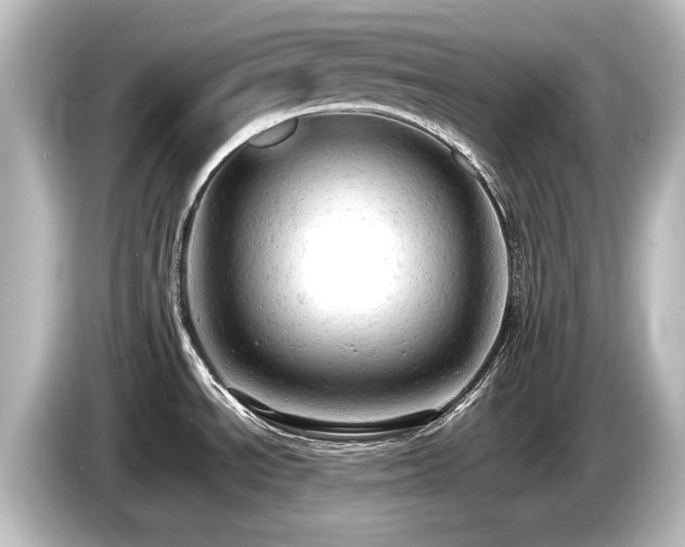 X0000085741534200703161016