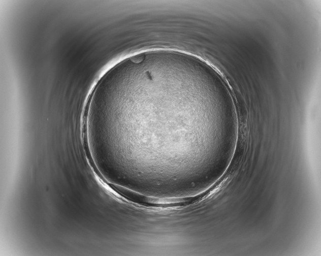 X0000085741535200703161016
