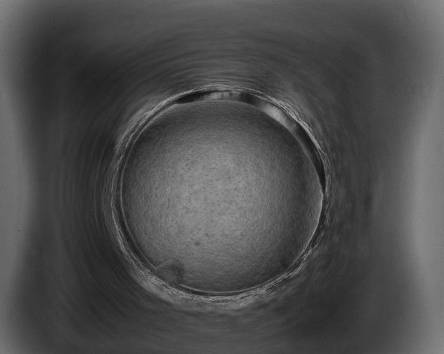 X0000085740001200703231120