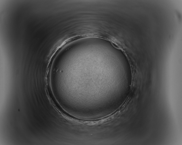 X0000085740002200703231120