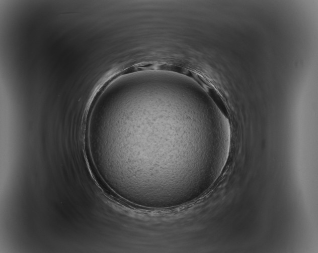 X0000085740003200703231120