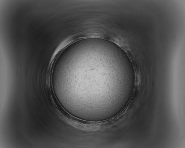 X0000085740004200703231120
