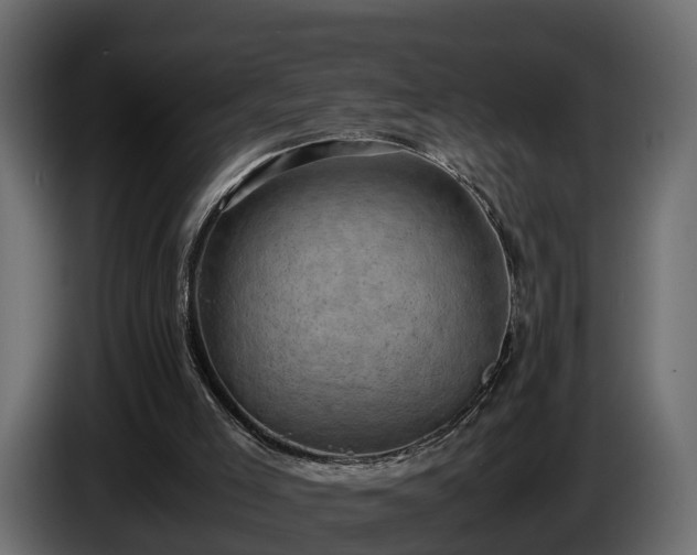 X0000085740005200703231120