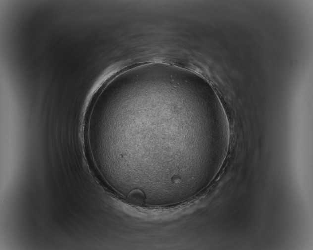 X0000085740006200703231120