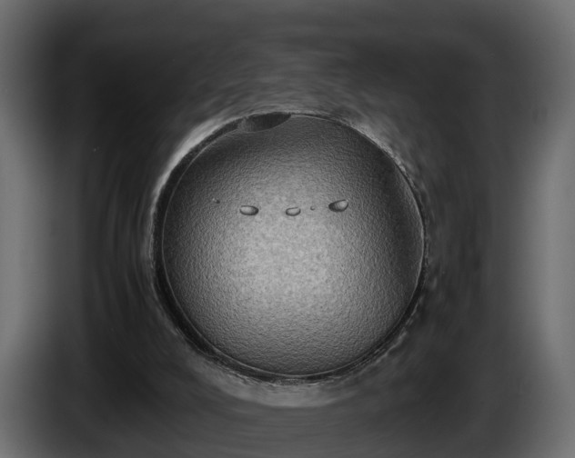 X0000085740008200703231120