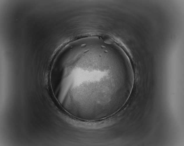 X0000085740010200703231120