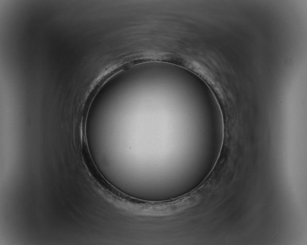 X0000085740011200703231120