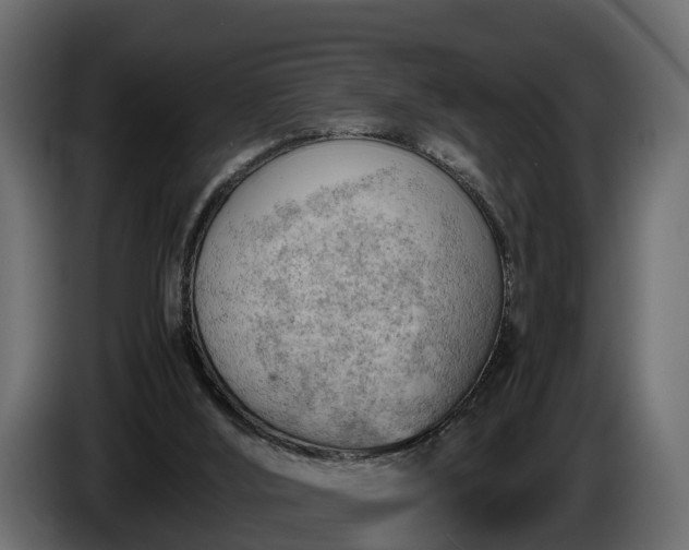 X0000085740012200703231120