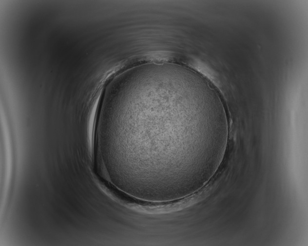 X0000085740013200703231120
