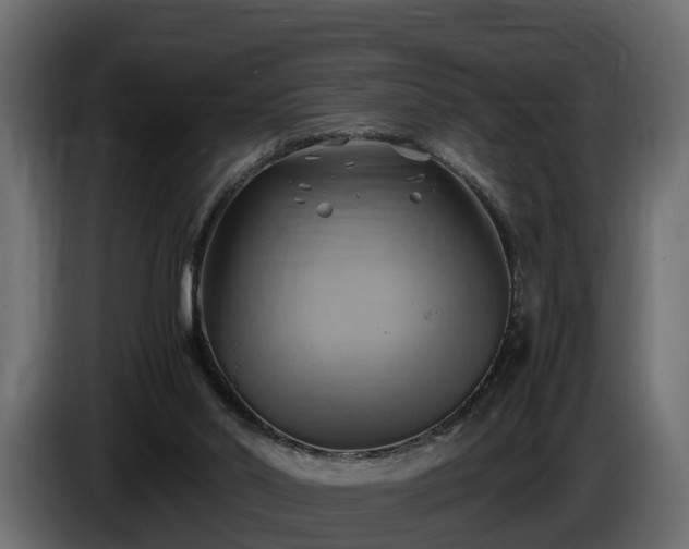 X0000085740014200703231120